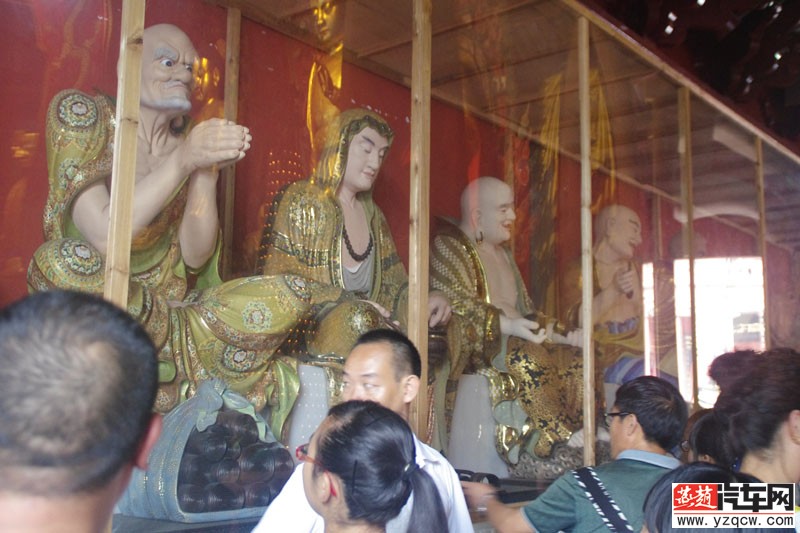 IMGP2331.jpg