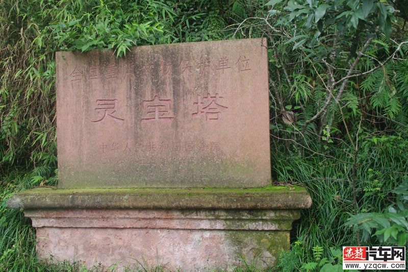 IMGP2377.jpg