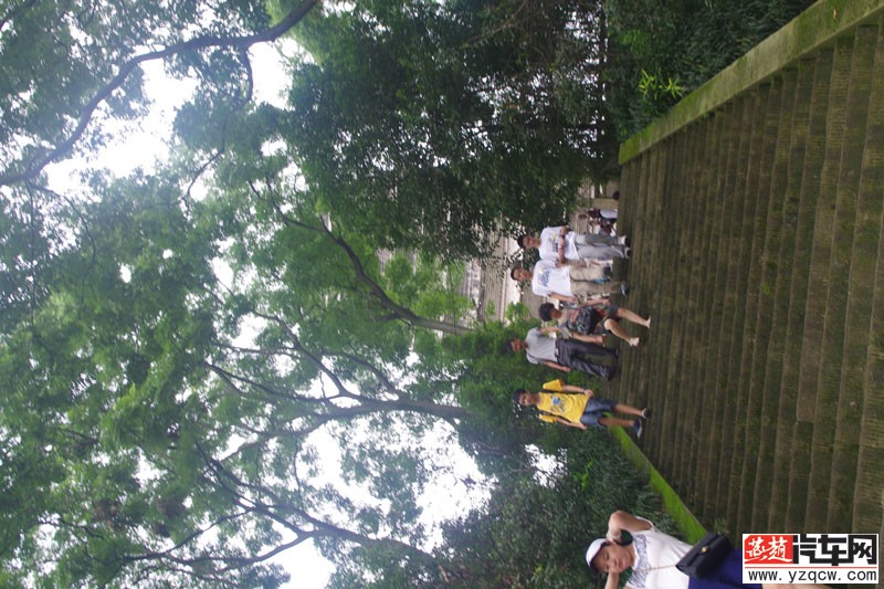 IMGP2379.jpg