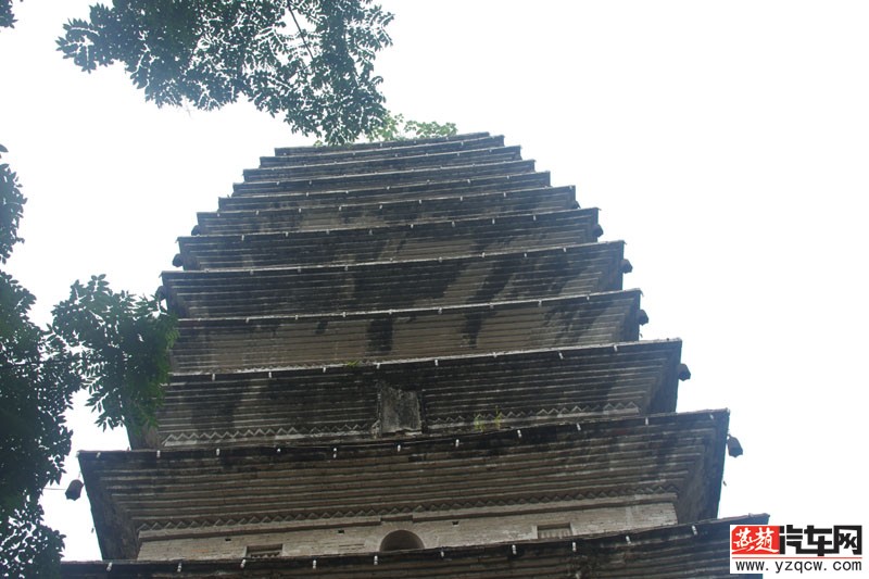 IMGP2380.jpg
