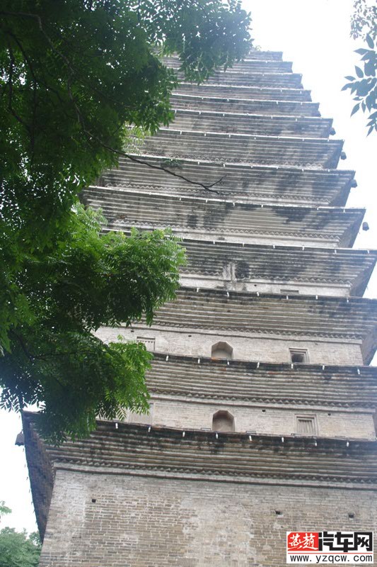 IMGP2384.jpg