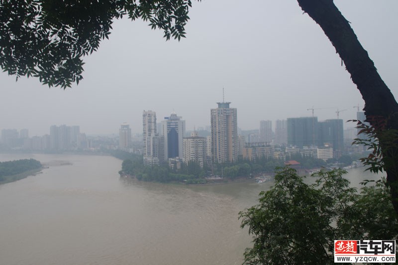 IMGP2394.jpg