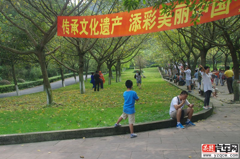 IMGP2408.jpg