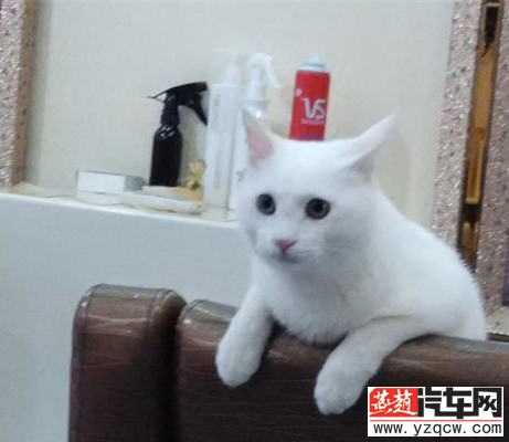IMG_20140925_174826_2345看图王.jpg