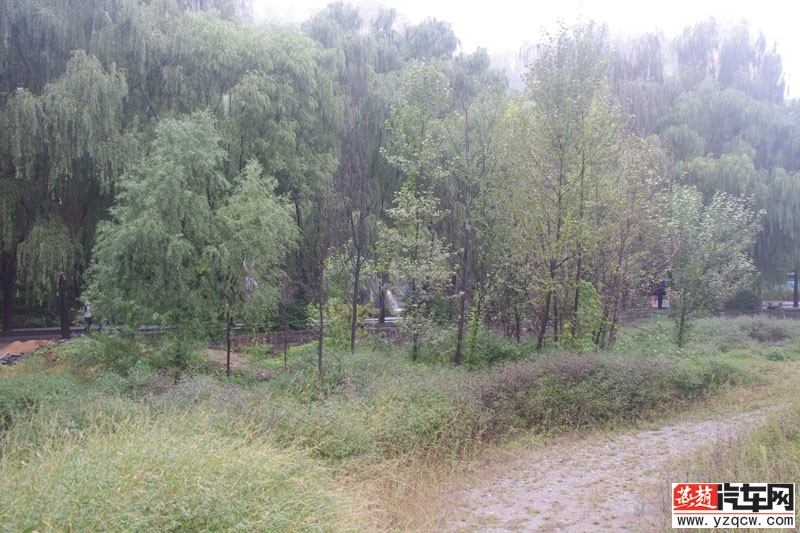 IMGP3093.jpg