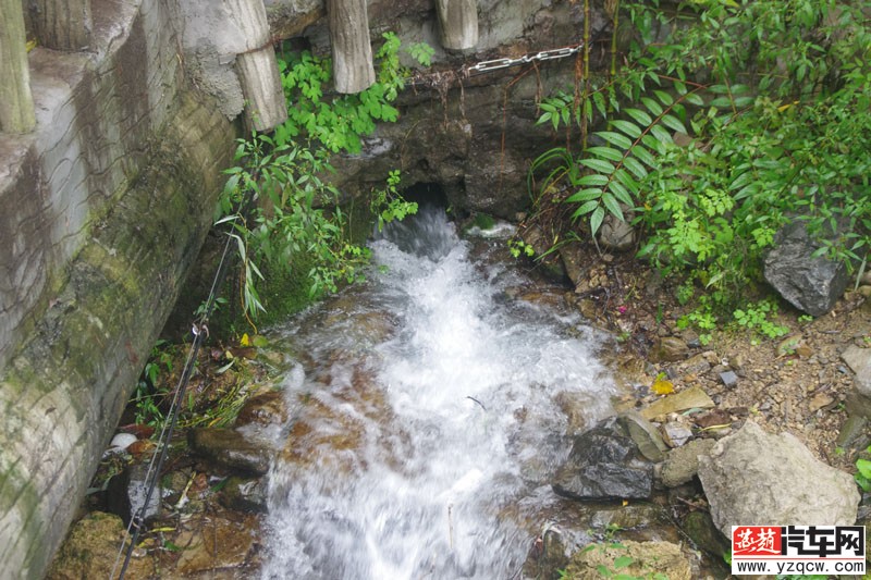 IMGP3099.jpg