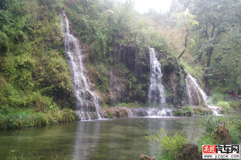 IMGP3101.jpg