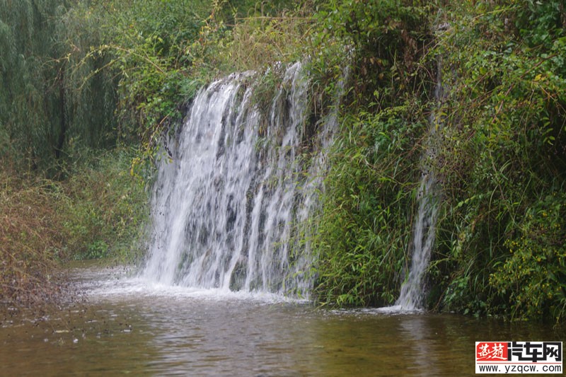 IMGP3118.jpg