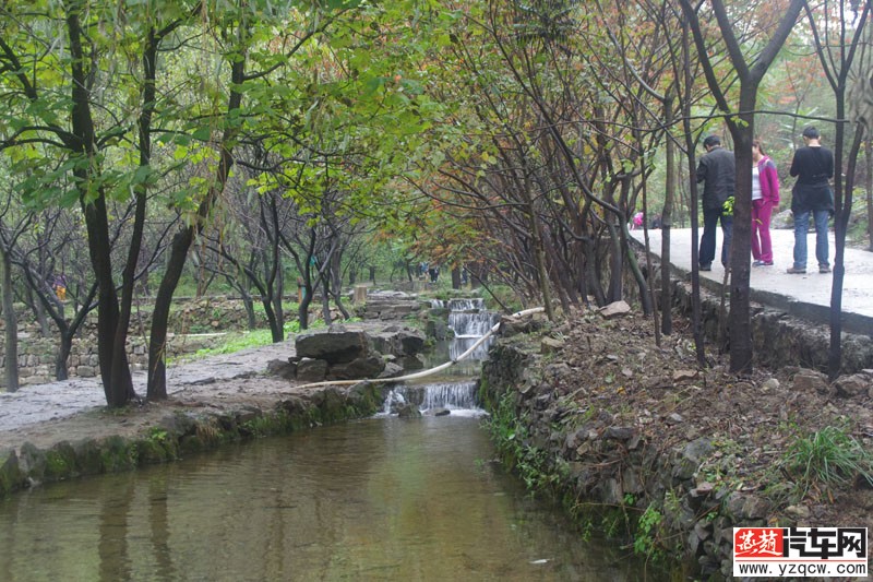 IMGP3171.jpg
