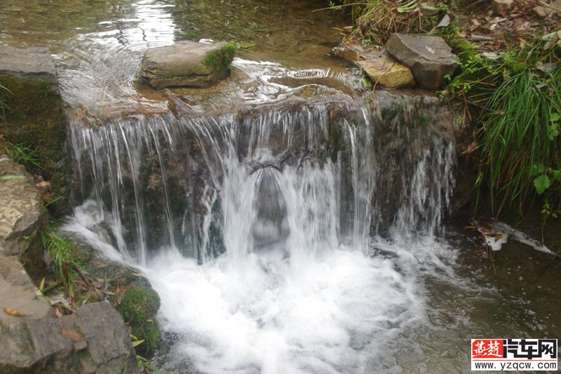 IMGP3172.jpg
