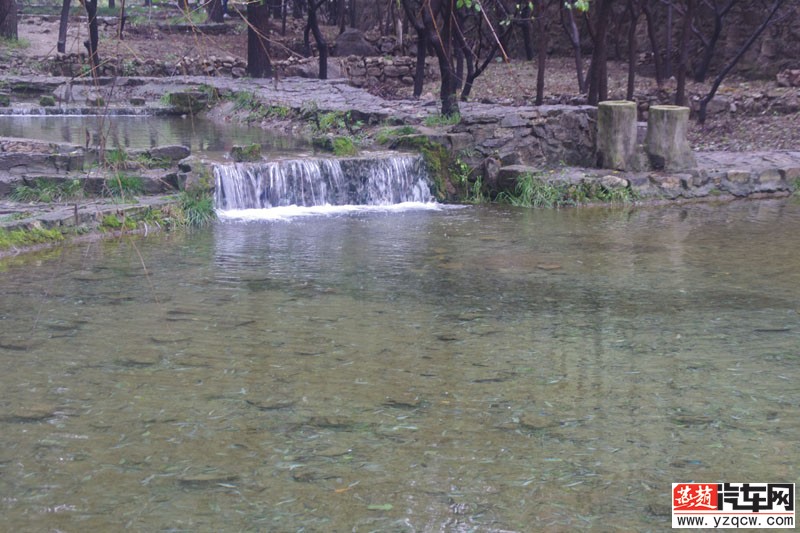 IMGP3175.jpg