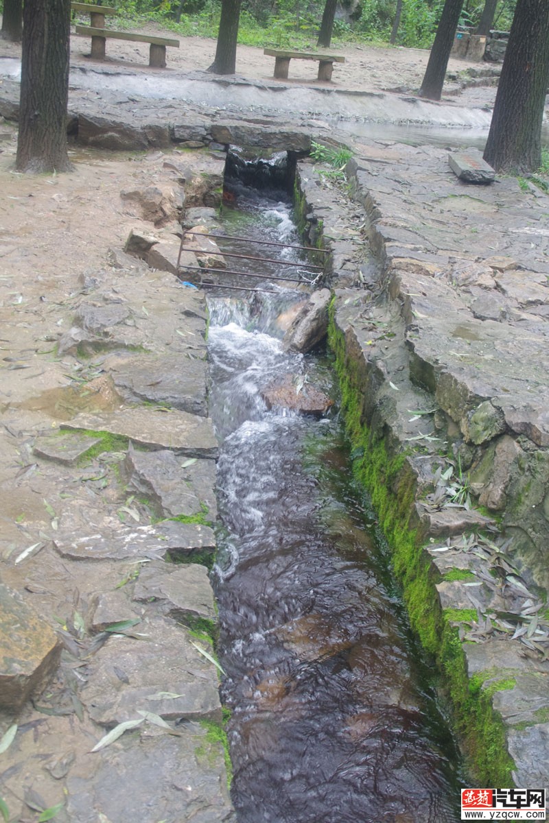 IMGP3190.jpg