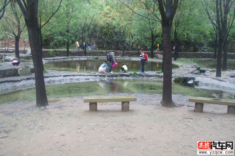 IMGP3191.jpg