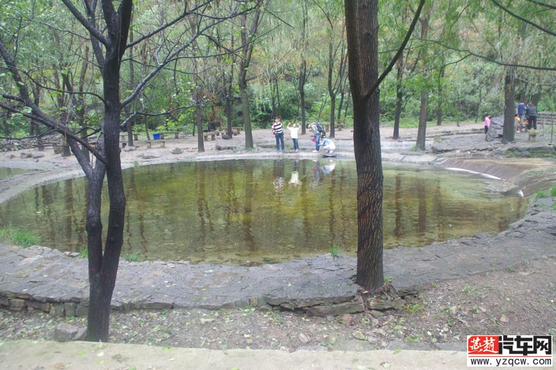 IMGP3192.jpg