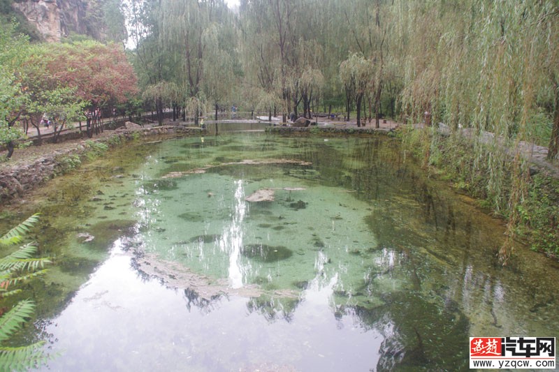 IMGP3195.jpg