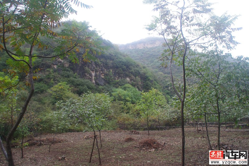 IMGP3198.jpg