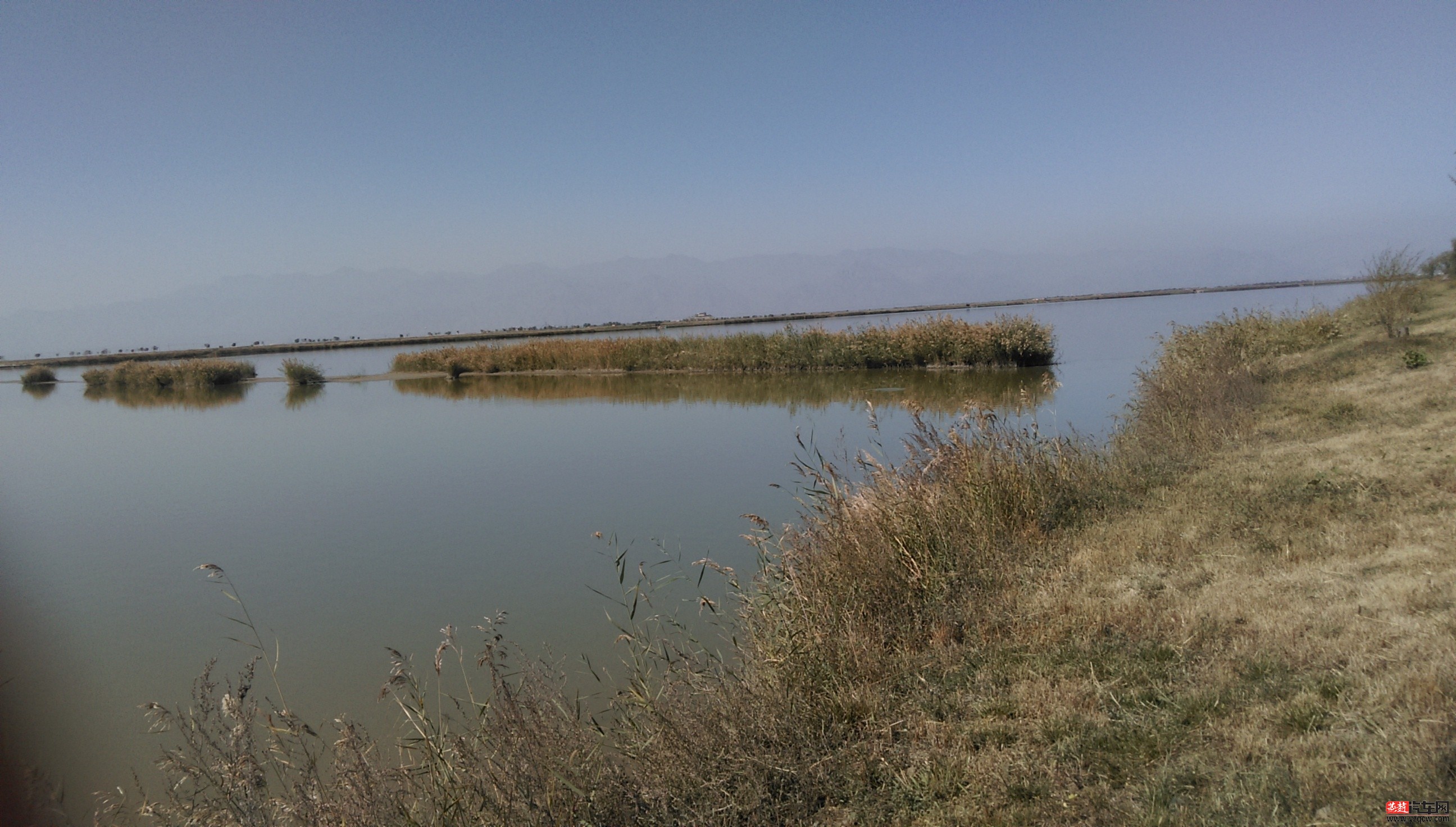 IMAG0610.jpg