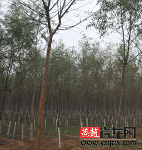 QQ截图20141103101942.png