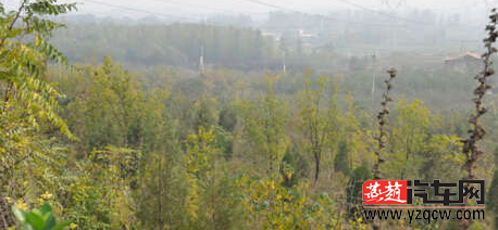 QQ截图20141103101926.png