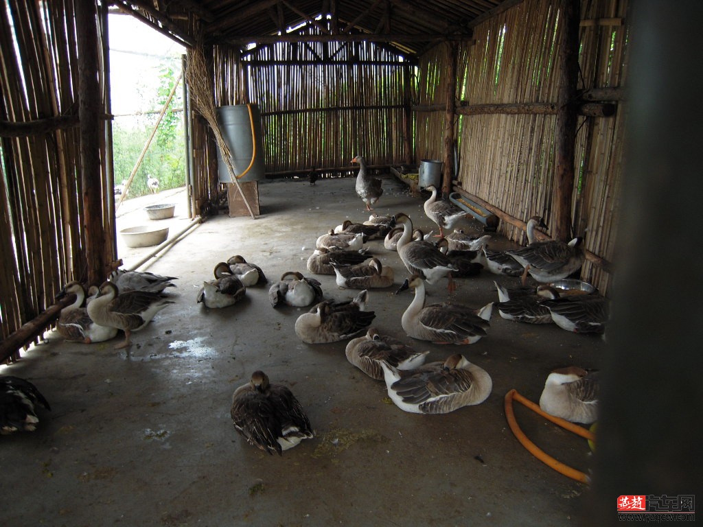 DSCN9024.JPG