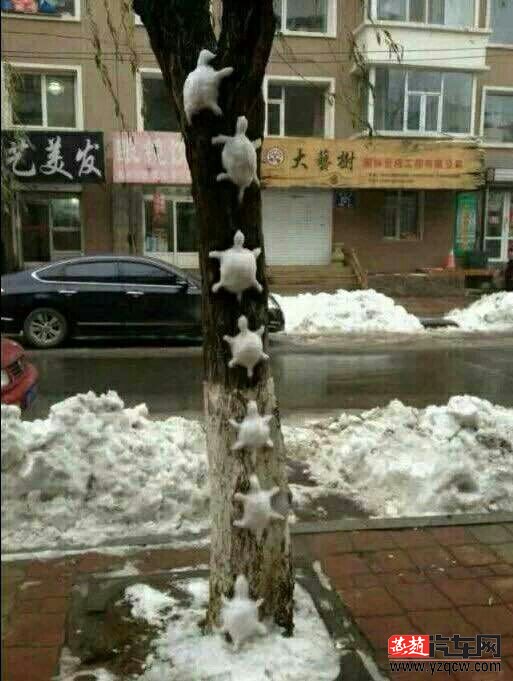 QQ图片20150130112300.jpg