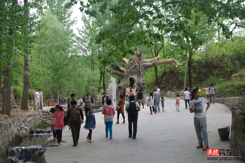IMGP5452.jpg