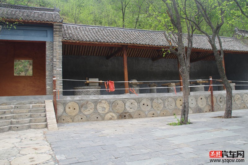 IMGP5504.jpg