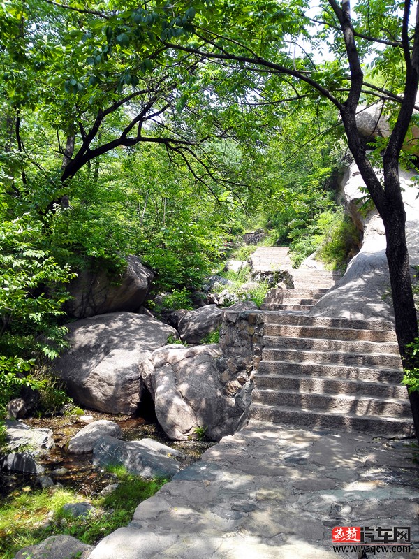 IMG_20150516_114535_副本.jpg