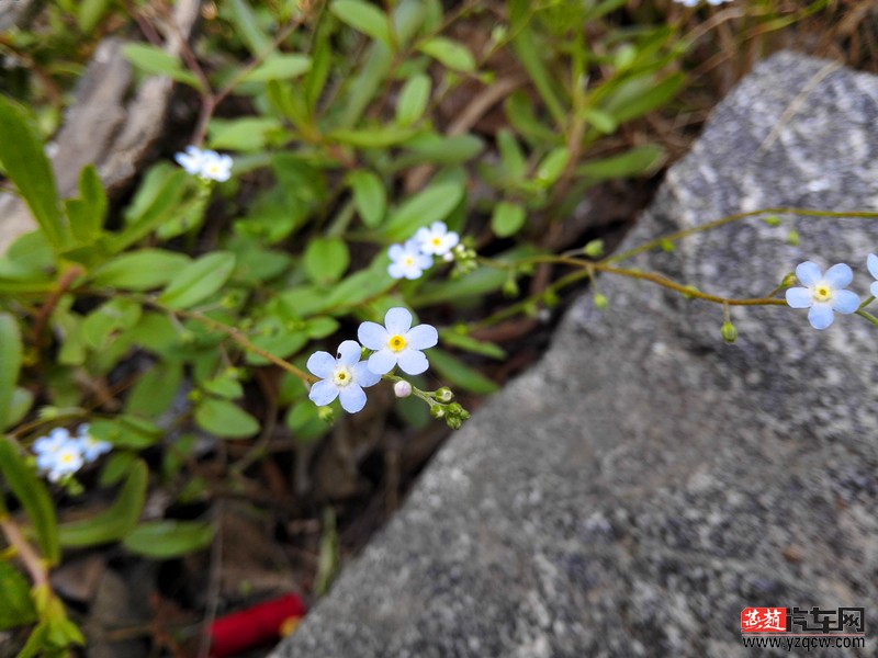 IMG_20150516_123748_副本.jpg