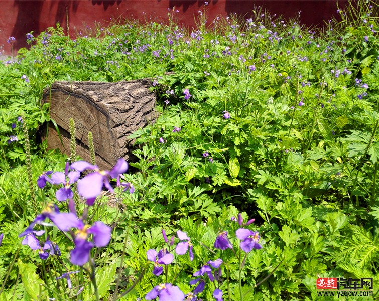 IMG_20150516_133730_副本.jpg