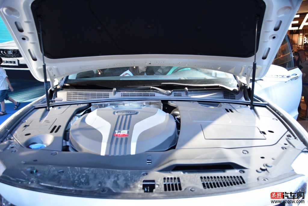conew_dsc_0138.jpg