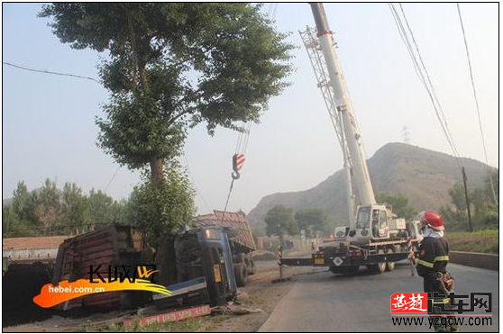QQ图片20150712102643.png