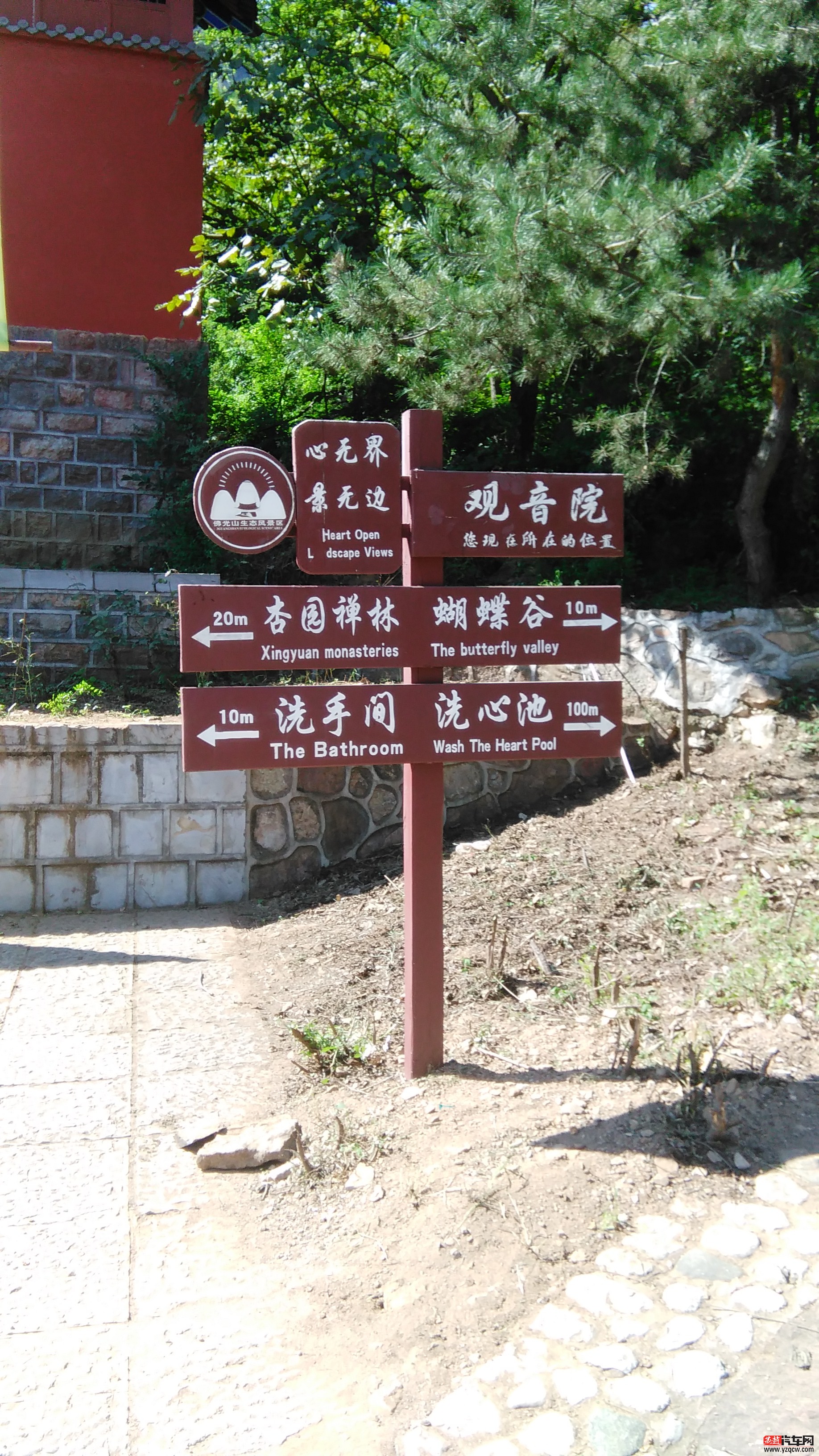 IMG_20150822_093741.jpg