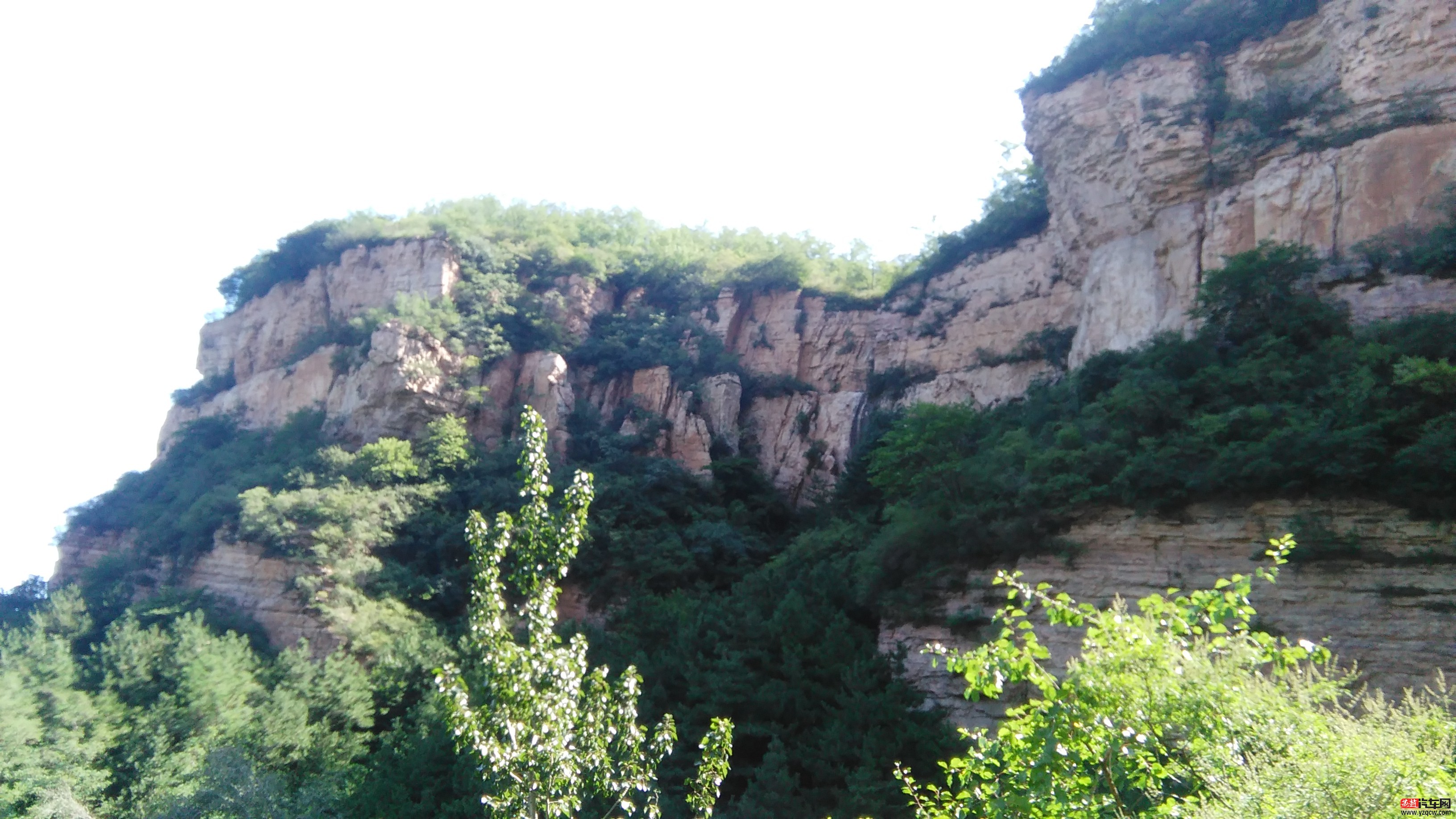IMG_20150822_095616.jpg