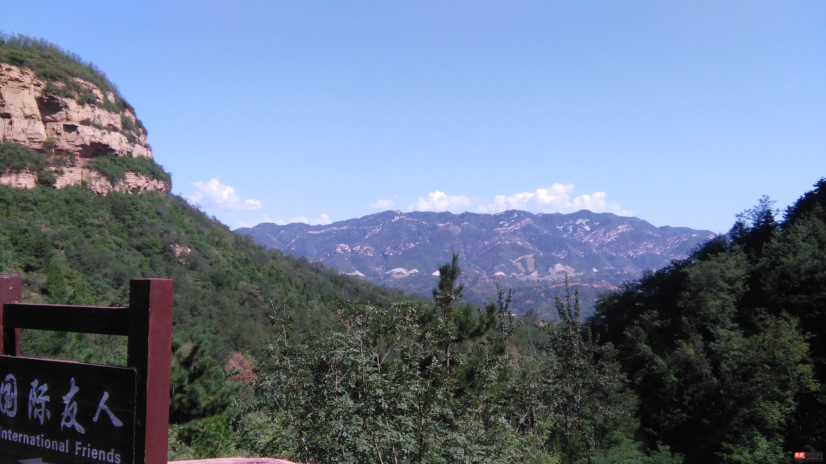 IMG_20150822_095629.jpg
