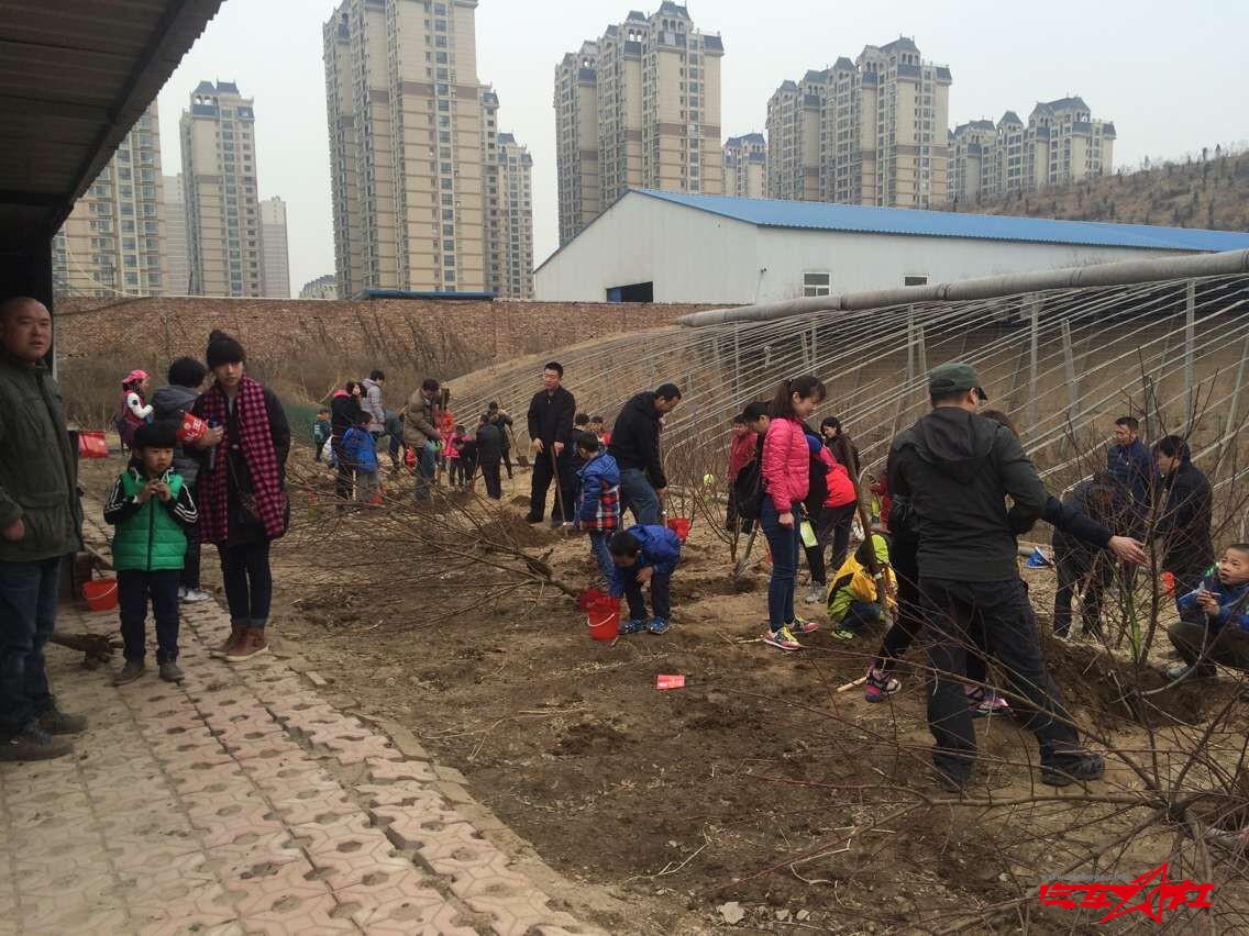 QQ图片20160312100637.jpg