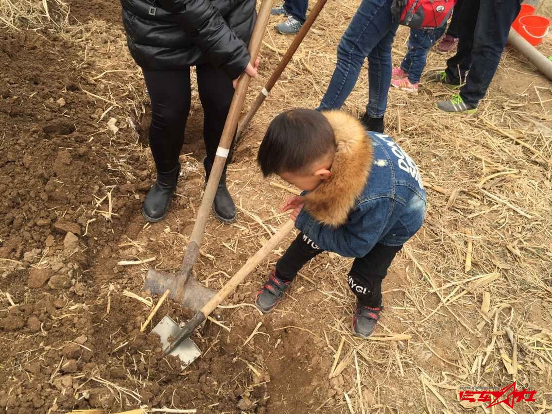 QQ图片20160312102527.jpg