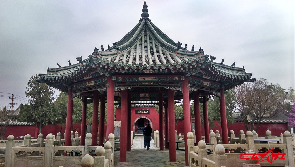 conew_imag9431.jpg