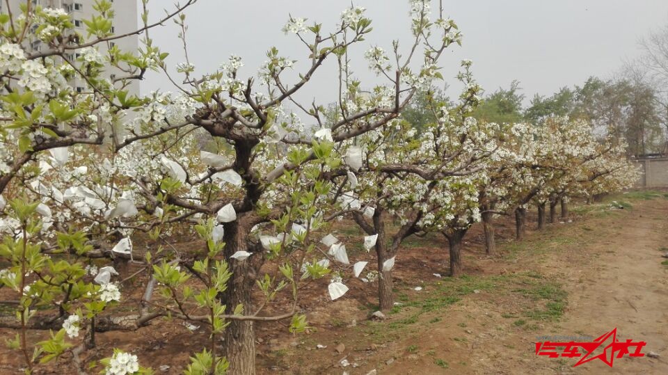 QQ图片20160405101222.jpg
