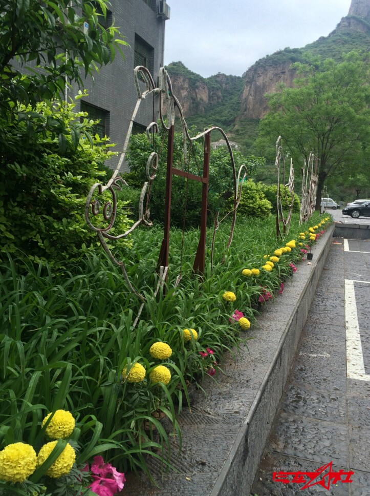 QQ截图20160504140708.jpg