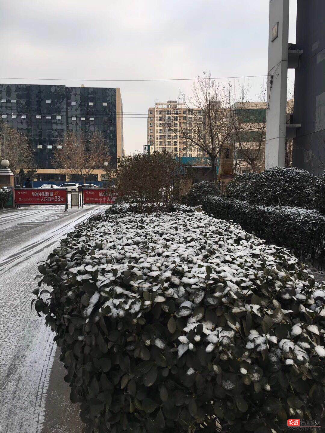 微信图片_20180123092157.jpg