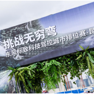 燃情春城 东风标致科技驾控城市排位赛