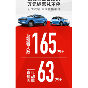 网红带货直播卖车 欧拉新零售不走寻常路