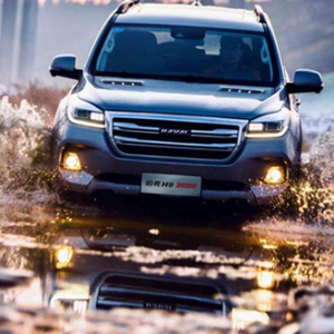 媲美百万级越野 哈弗H9树越野标杆