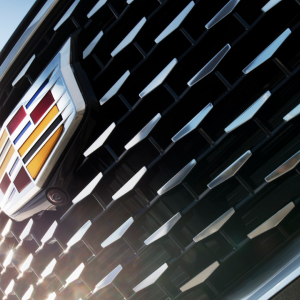 对话用户：我为什么最后选择用#租啦#？