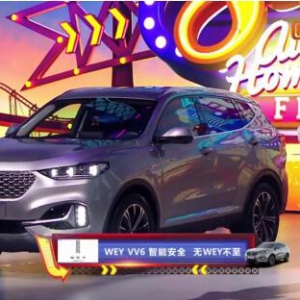 打破次元壁的梦幻“联动” WEY818实力“破圈”种草新生代