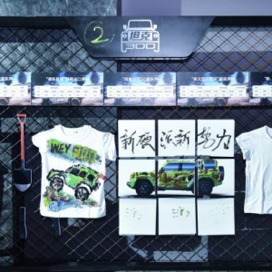 北京车展提前剧透！坦克三大版本集结全民共创你的WEY