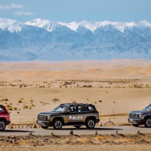 潮玩魅惑跨界出圈  来自哈弗大狗“潮遛天团”的冲击波