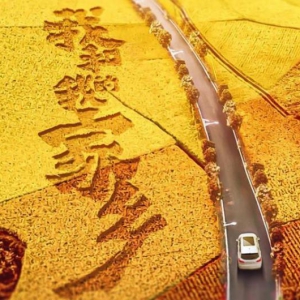 《我和我的家乡》双节上映 WEY你上演家乡喜剧