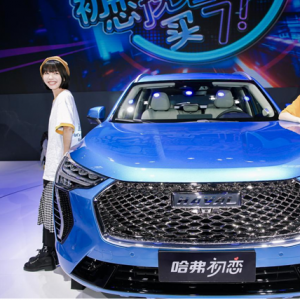 柠檬之下，忆哈弗初恋